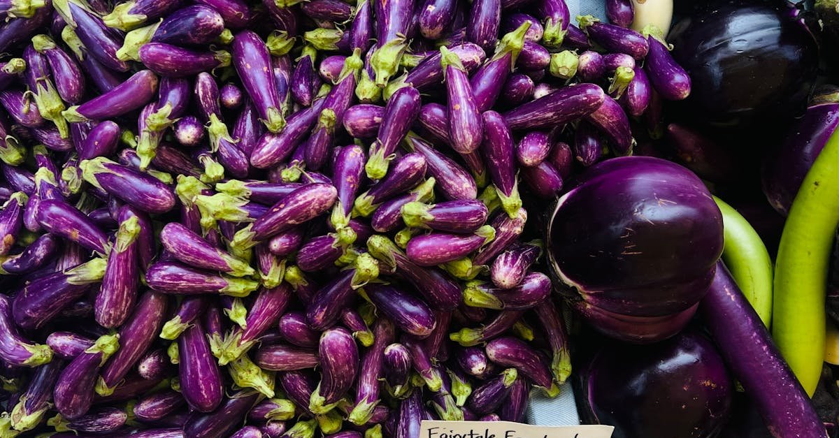 découvrez notre caviar d'aubergine, une délicieuse préparation méditerranéenne qui allie saveurs riches et texture onctueuse. parfait en tartinade ou en accompagnement, ce plat vegétarien saura ravir vos convives et apporter une touche gourmet à vos repas.