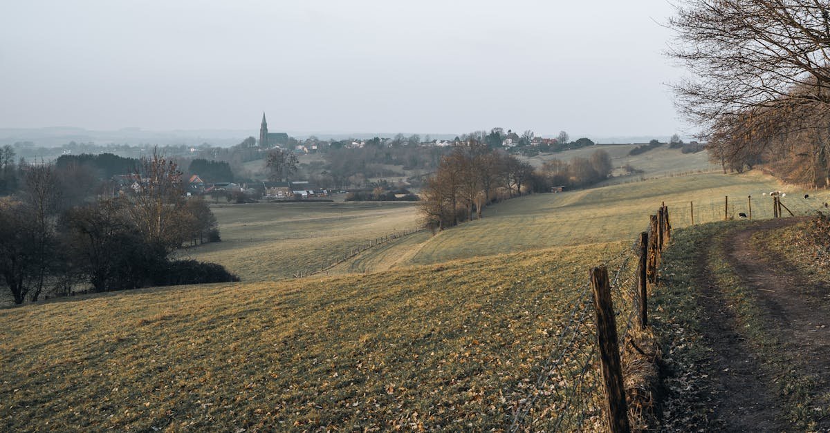 découvrez l'art du foie gras, une délicatesse emblématique de la gastronomie française. apprenez les différentes façons de le savourer, des recettes raffinées aux conseils pour l'accompagner parfaitement. éveillez vos papilles avec ce met d'exception, idéal pour les fêtes et les occasions spéciales.