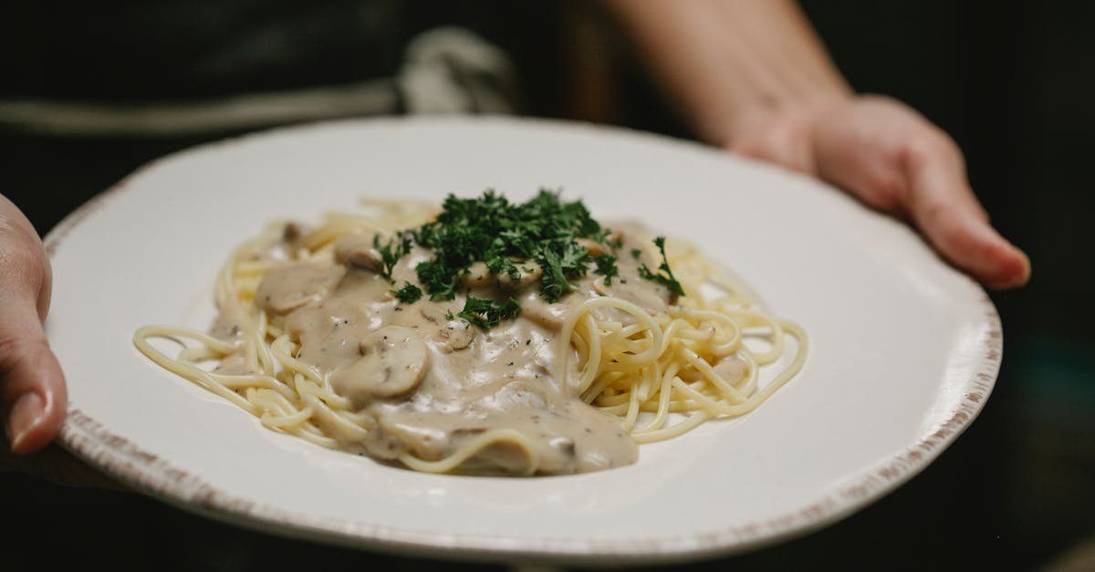 découvrez notre délicieuse sauce aux champignons, parfaite pour rehausser vos plats de viande, de pâtes ou de légumes. savoureuse et onctueuse, elle apportera une touche gourmande à vos recettes !