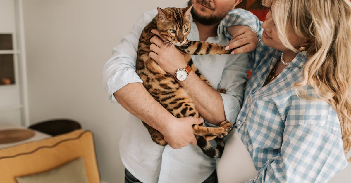 découvrez l'univers chaleureux de happy home, votre espace de vie idéal où confort et bonheur se rencontrent. améliorez votre quotidien avec des astuces déco, des conseils pratiques et des inspirations pour créer votre maison de rêve.