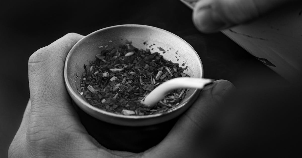 découvrez la chaleur réconfortante qui enveloppe chaque moment de votre vie. plongez dans un univers où la douceur et la convivialité s'allient pour créer des souvenirs inoubliables. laissez-vous séduire par l'importance de la chaleur humaine et de l'atmosphère chaleureuse qui nous unit.